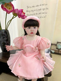 Embroidered Organza Áo Dài Dress – Pink Peony & Lucky Scarlet (Newborn-5Years) | Traditional Vietnamese Outfit for Girls | Soft Mấn Included