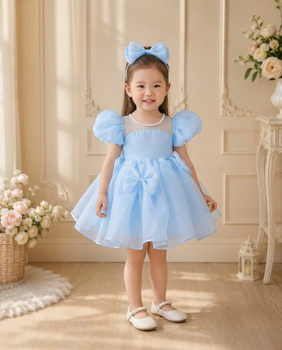 Pearl Princess Organza Dress 1–6 Years | Flower Girl, First Birthday & Special Occasion Dress