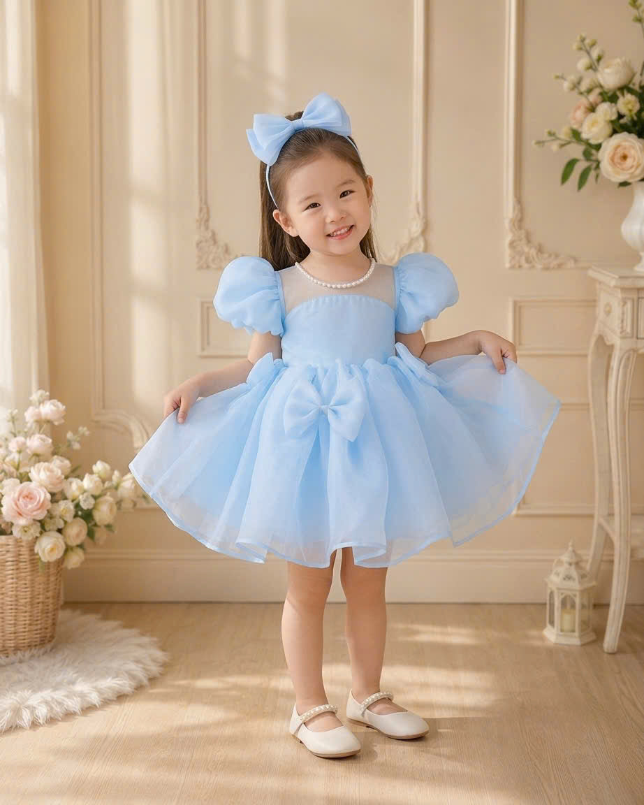 Pearl Princess Organza Dress 1–6 Years | Flower Girl, First Birthday & Special Occasion Dress
