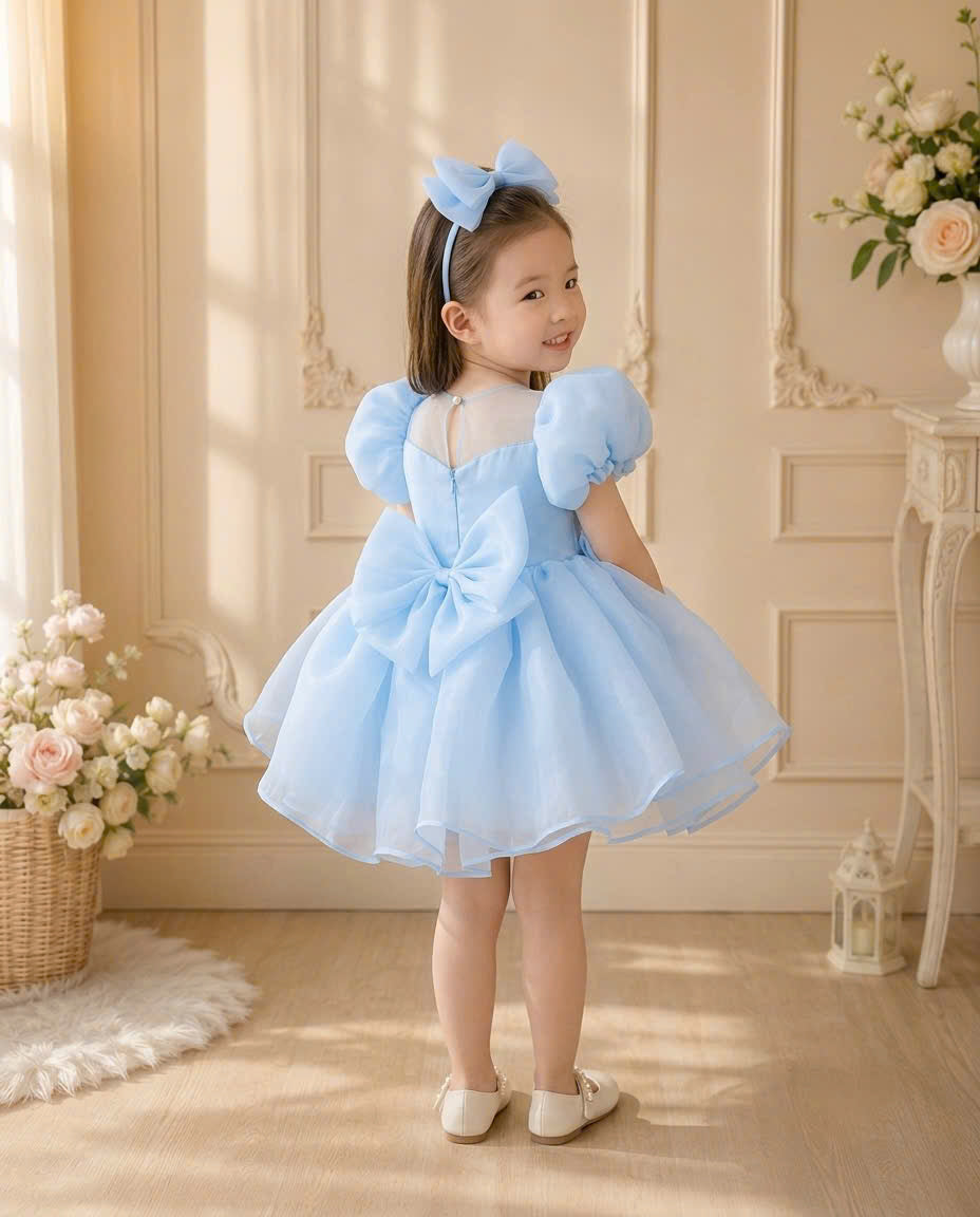 Pearl Princess Organza Dress 1–6 Years | Flower Girl, First Birthday & Special Occasion Dress