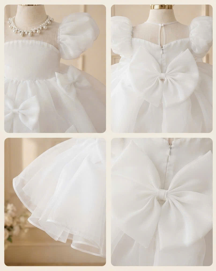 Pearl Princess Organza Dress 1–6 Years | Flower Girl, First Birthday & Special Occasion Dress