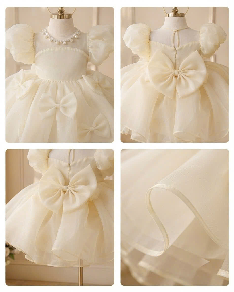 Pearl Princess Organza Dress 1–6 Years | Flower Girl, First Birthday & Special Occasion Dress