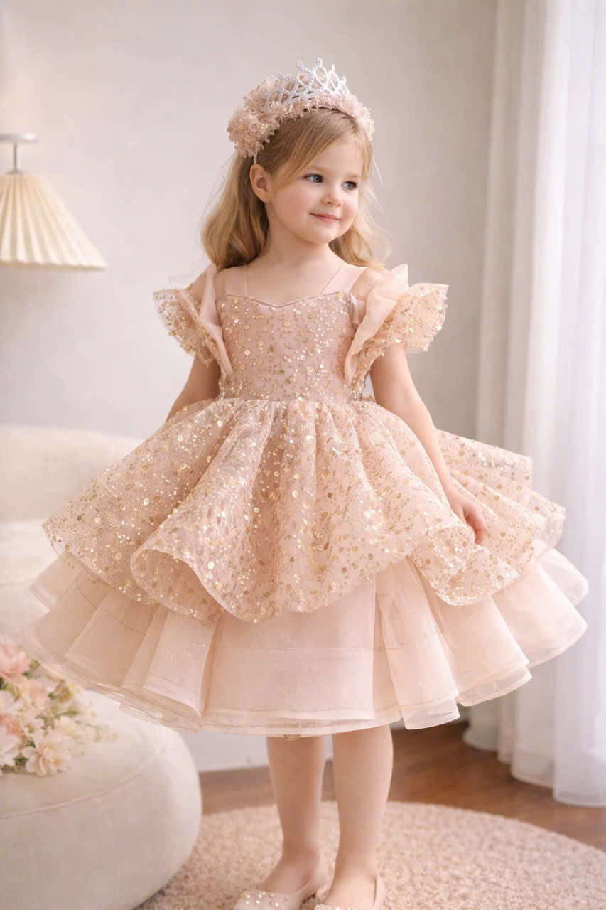 Princess Blush Pink & Champagne Gold Flower Girl Dress, Sequin Tulle Princess Dress for Baby Girl, 1st Birthday Outfit, Wedding Party Dress