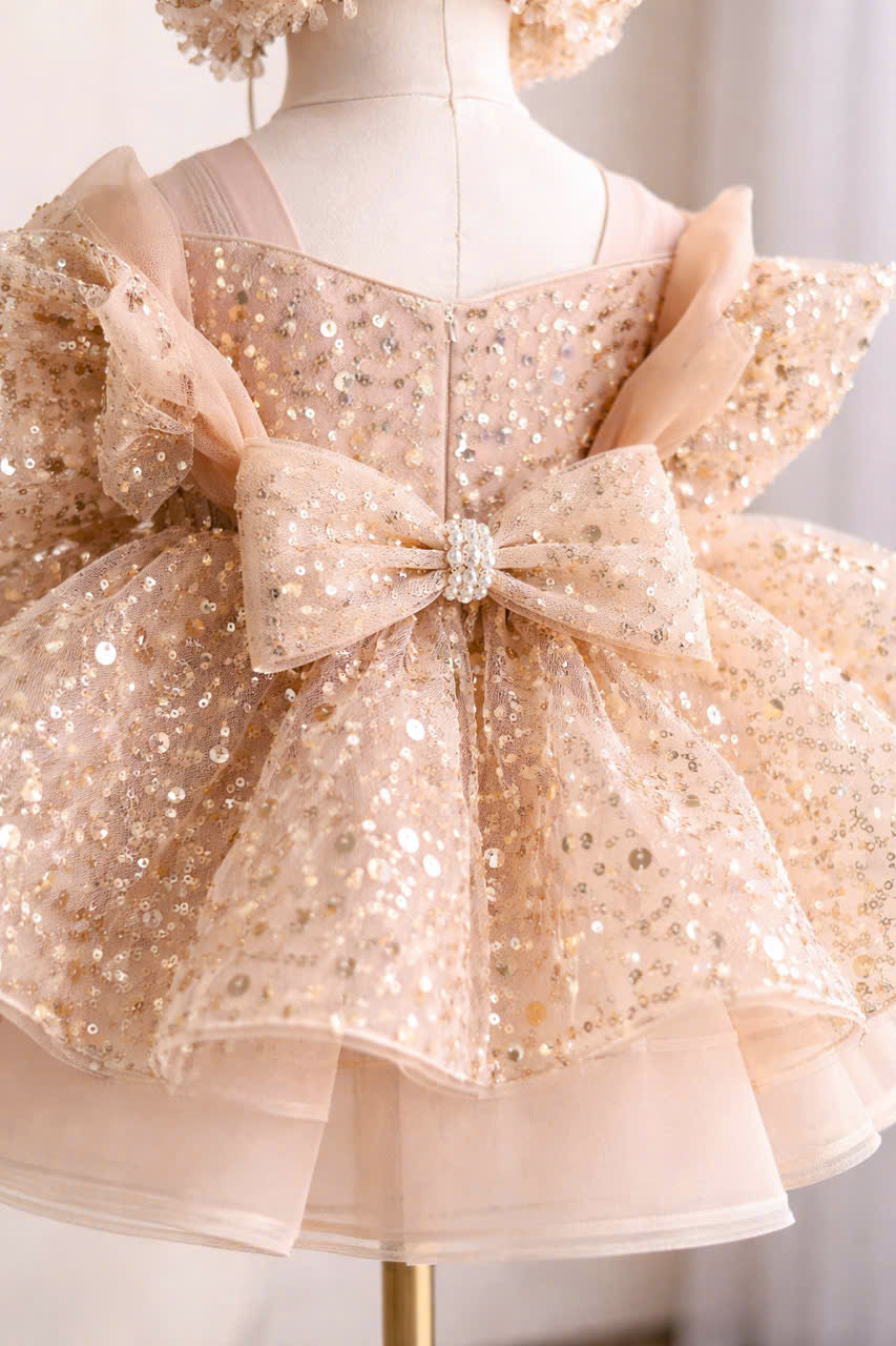 Princess Blush Pink & Champagne Gold Flower Girl Dress, Sequin Tulle Princess Dress for Baby Girl, 1st Birthday Outfit, Wedding Party Dress