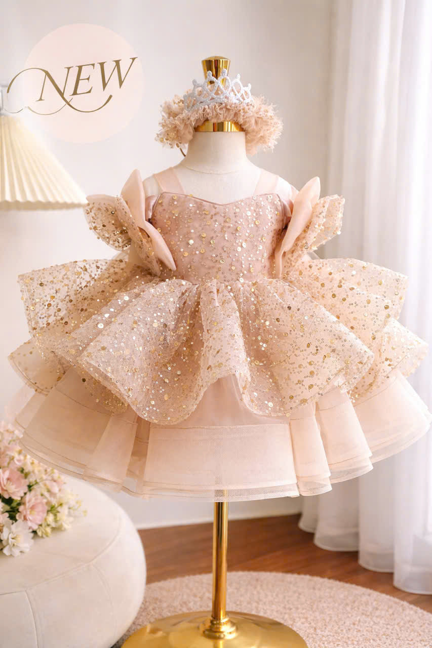 Princess Blush Pink & Champagne Gold Flower Girl Dress, Sequin Tulle Princess Dress for Baby Girl, 1st Birthday Outfit, Wedding Party Dress