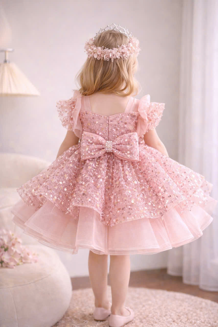 Princess Blush Pink & Champagne Gold Flower Girl Dress, Sequin Tulle Princess Dress for Baby Girl, 1st Birthday Outfit, Wedding Party Dress