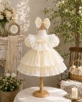Petal Whimsy Dress 3M-2Y | Ruffle Lace Baby Dress | Beige & Pink Photoshoot Outfit